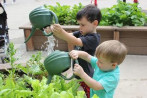 boys water plants in children's garden