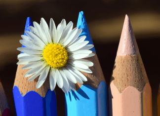 colored pencils and flower