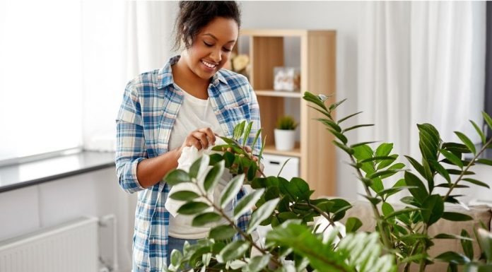 woman tending to her leafy houseplant