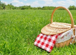 picnic basket in the grass