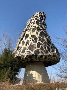 roadside mushroom sculpture