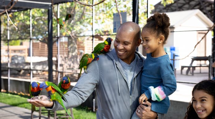 family holding birds on hand at the zoo