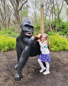 Worlds of Fun Gorilla