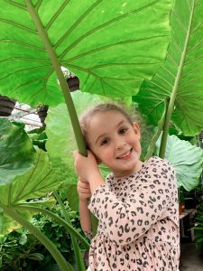 Girl posing under large tropical leaves